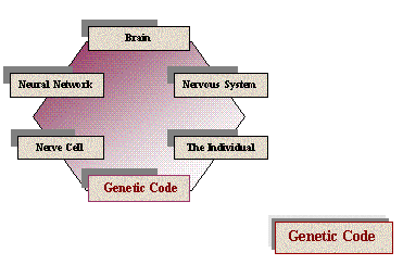Genetic Code Image